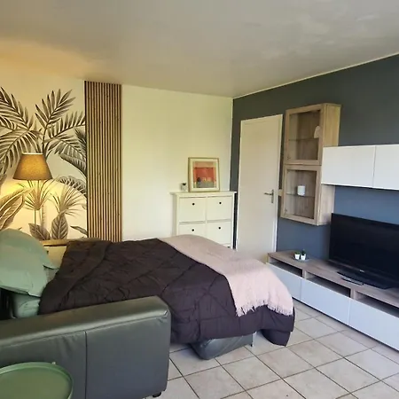 Prenepla Apartman Ornex